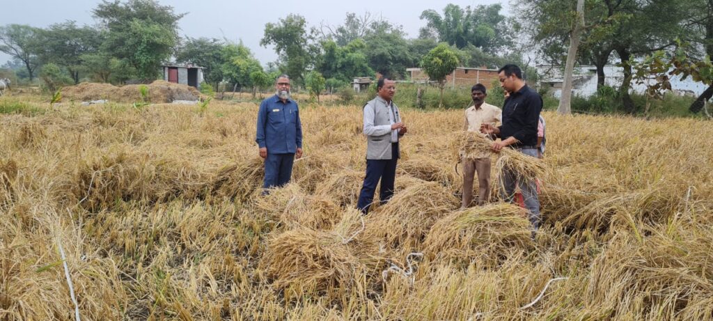 जिले में लघुधान्य फसलों के बीज उत्पादन एवं विक्रय से किसानों को हो रहा लाभ