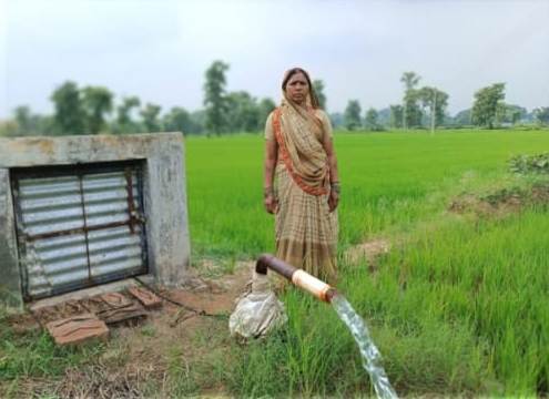 गरियाबंद : हरित क्रांति योजना से कृषक हेमिन बाई ने बढ़ाई अपनी आमदनी