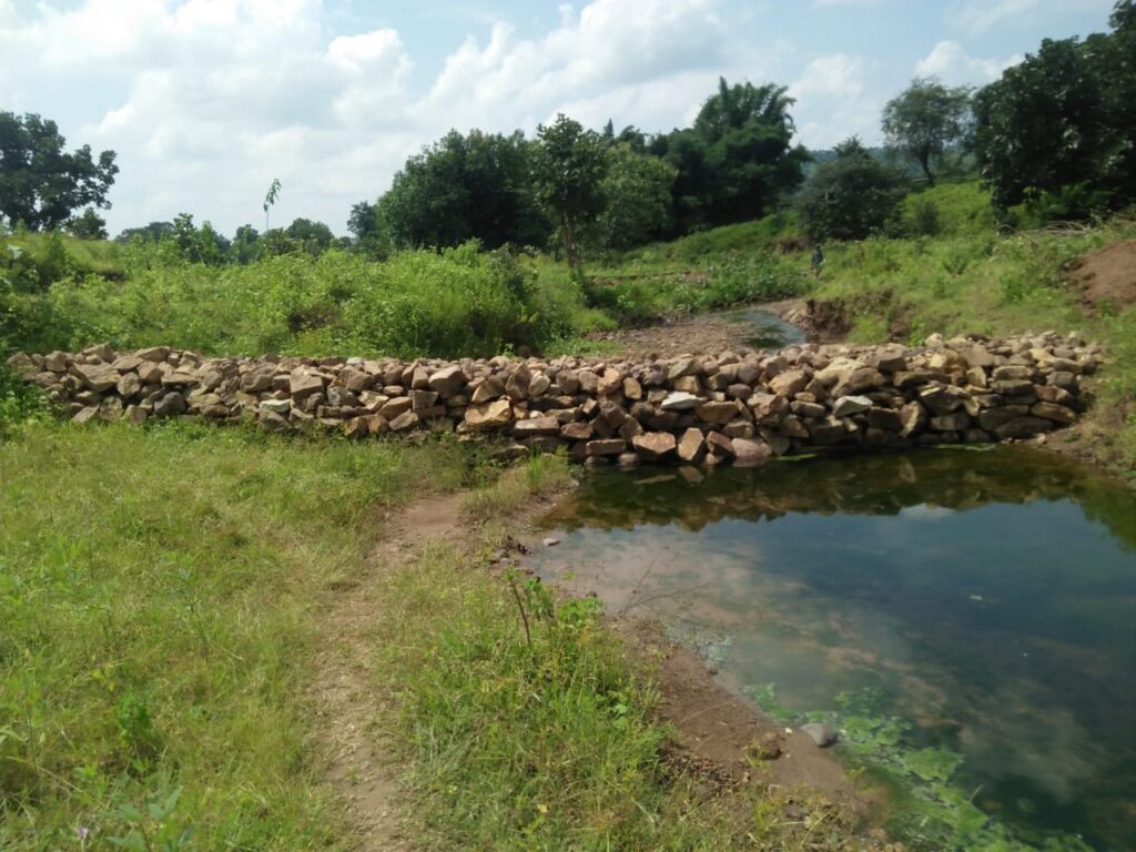 नरवा विकास योजना रूकर्रा नाला उपचार से सिंचित भूमि रकबे में हुई वृद्धि, 60 से ज्यादा किसानों के खेतों में लहलहाने लगी फसल