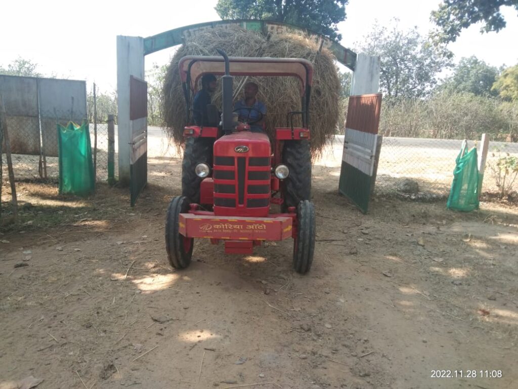 पैरादान बना महाभियान’’ पर्यावरण संरक्षण तथा पशुसेवा की ओर राज्य सरकार की अभिनव पहल पर कृषक बड़ी संख्या में पैरादान हेतु पहुंच रहे गौठान